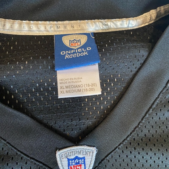 Pittsburgh Steelers jersey youth XL #43 polamalu - Picture 2 of 6